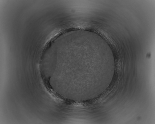 X0000094790738200711241401