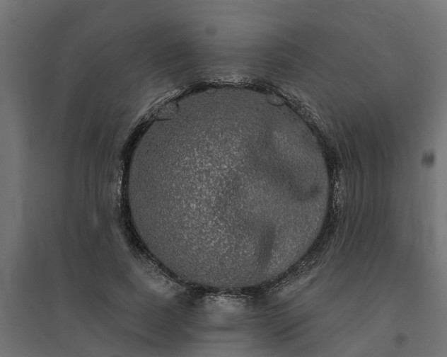 X0000094790739200711241401