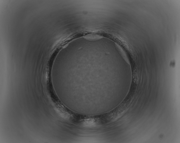 X0000094790740200711241401