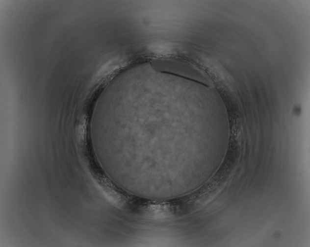 X0000094790744200711241401