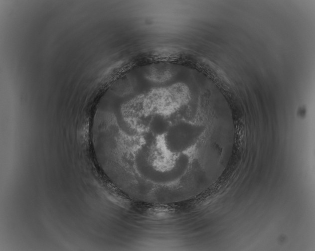 X0000094790745200711241401