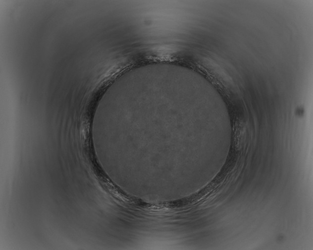 X0000094790747200711241401