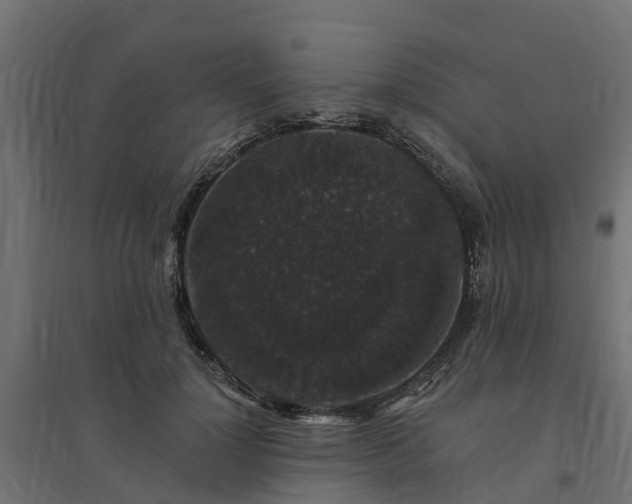 X0000094790748200711241401