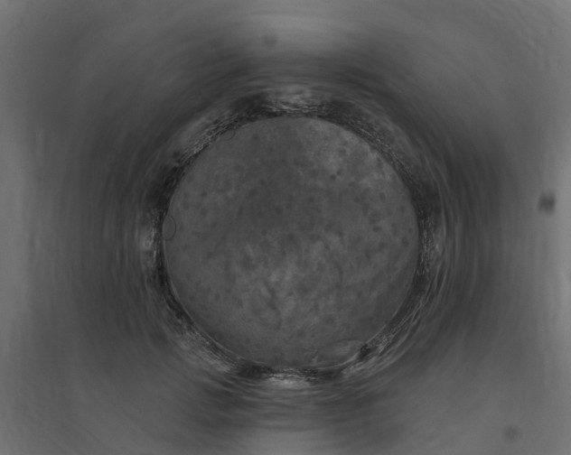 X0000094790749200711241401