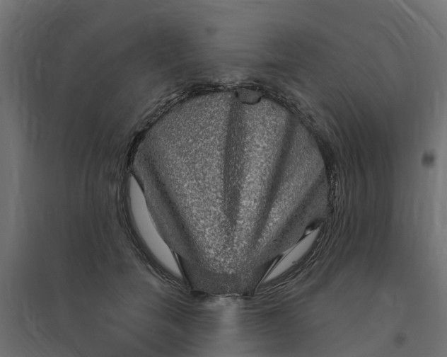 X0000094790750200711241401