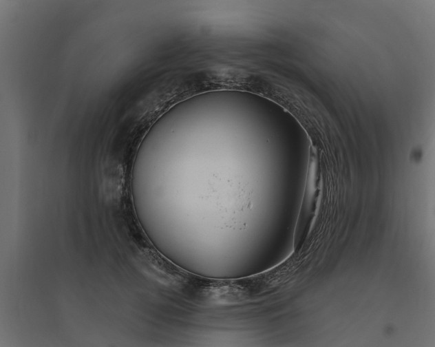 X0000094790752200711241401