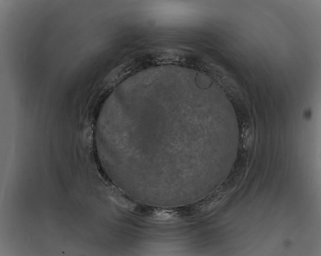 X0000094790753200711241401