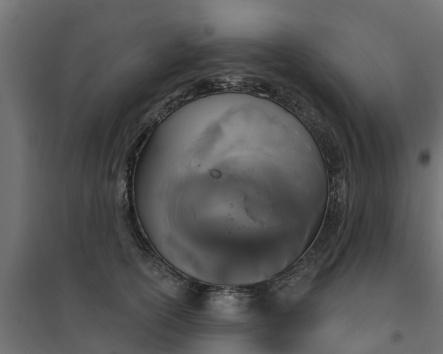 X0000094790754200711241401