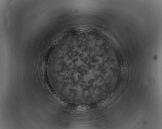 X0000094790757200711241401