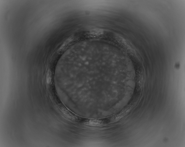 X0000094790758200711241401