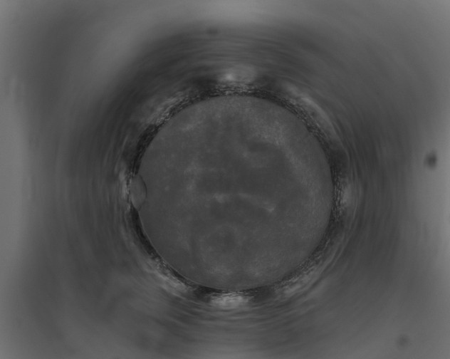 X0000094790759200711241401