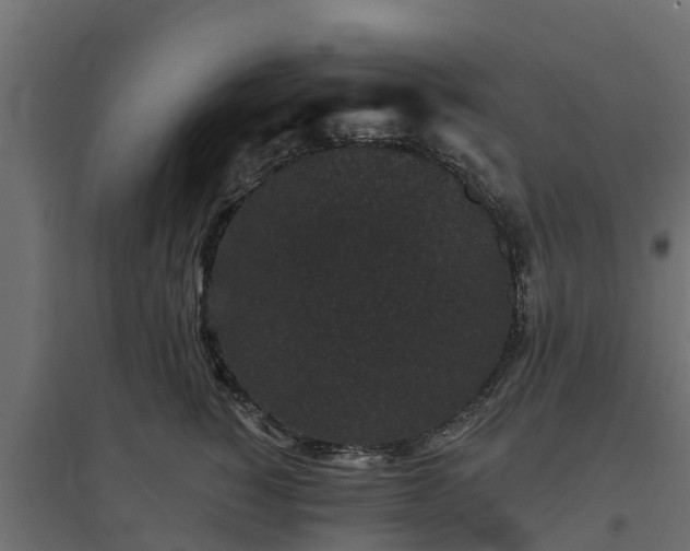 X0000094790760200711241401