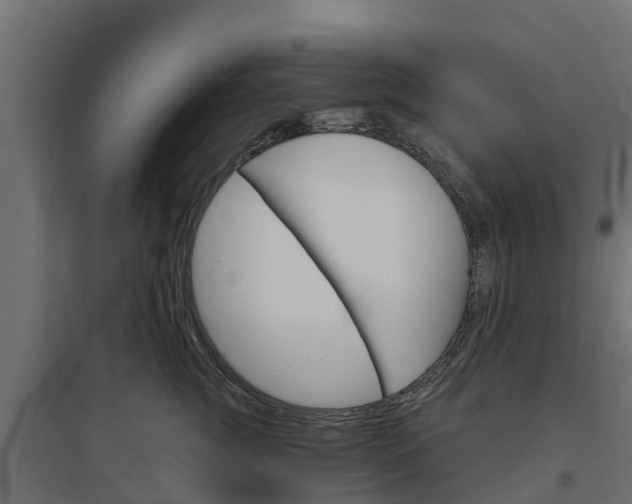 X0000094790761200711241401