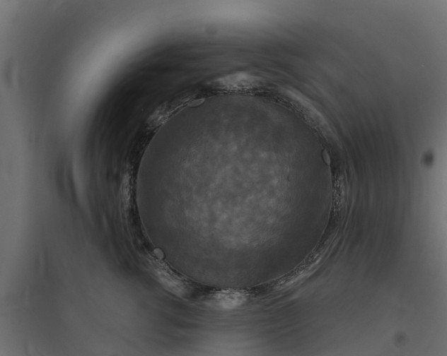 X0000094790762200711241401