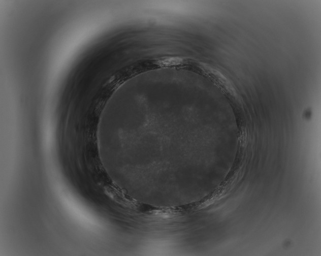 X0000094790763200711241401