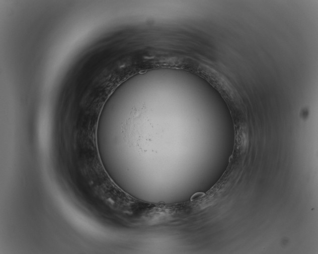 X0000094790764200711241401