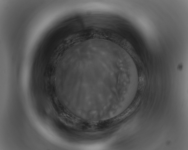 X0000094790765200711241401