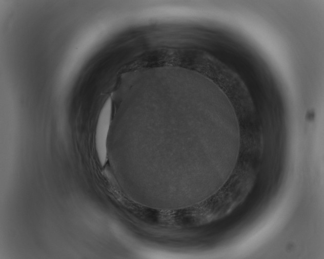 X0000094790766200711241401