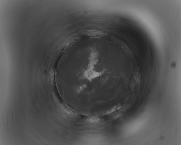 X0000094790767200711241401