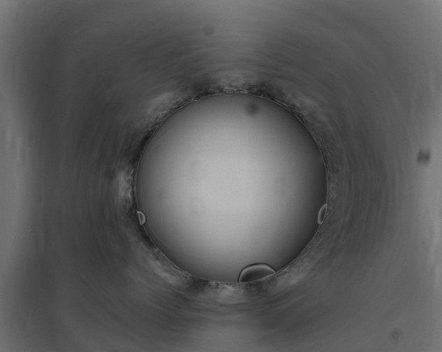 X0000094790768200711241401