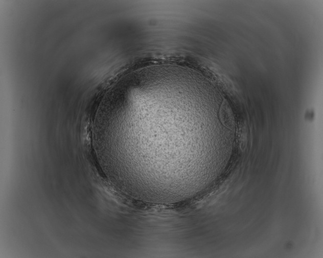 X0000094790770200711241401