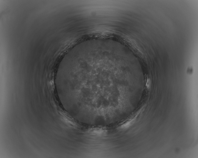 X0000094790771200711241401