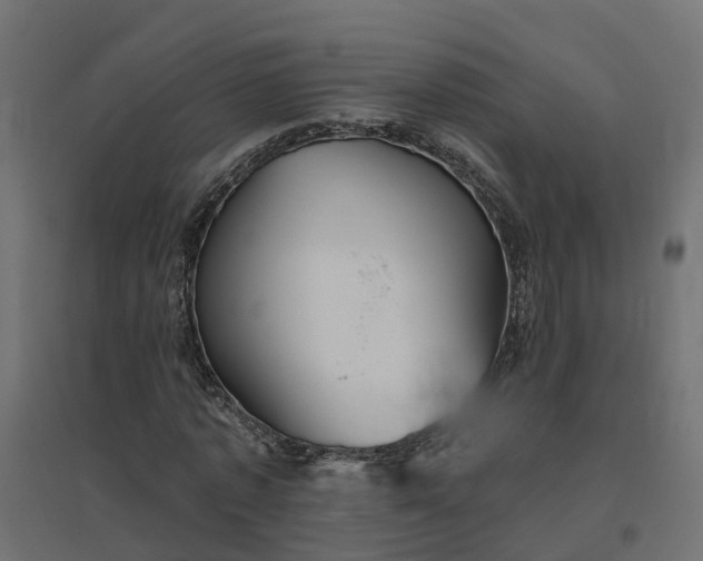 X0000094790773200711241401