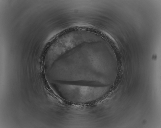 X0000094790775200711241401