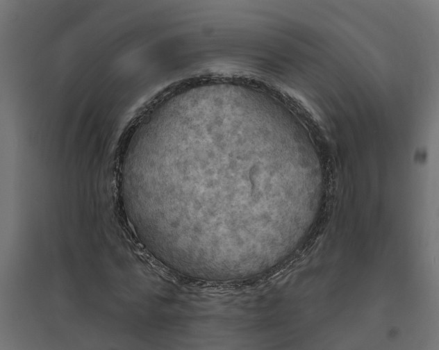 X0000094790776200711241401