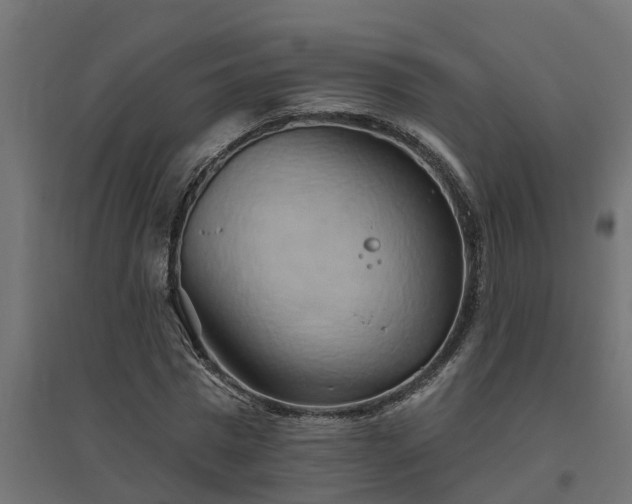 X0000094790777200711241401