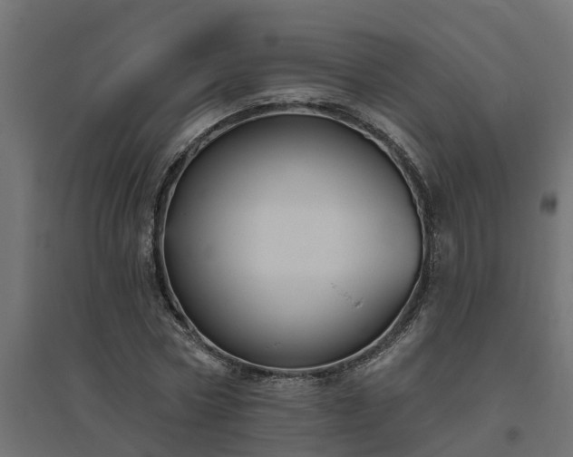 X0000094790778200711241401