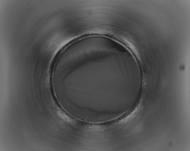 X0000094790779200711241401