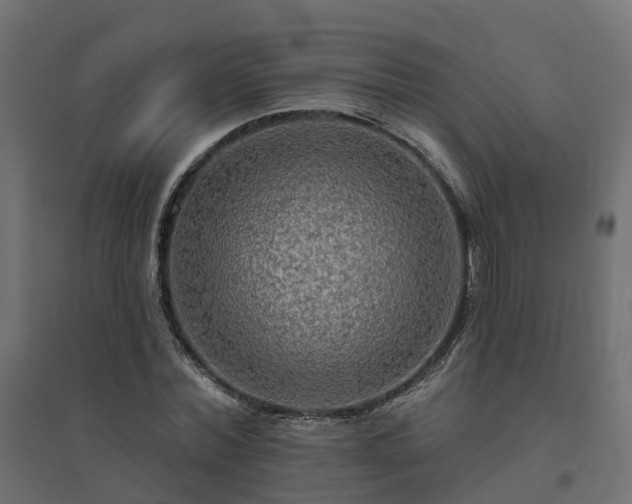 X0000094790780200711241401