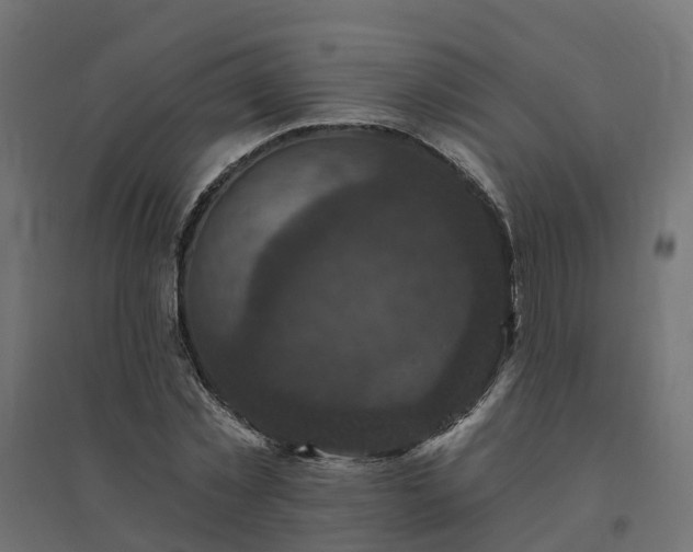 X0000094790781200711241401