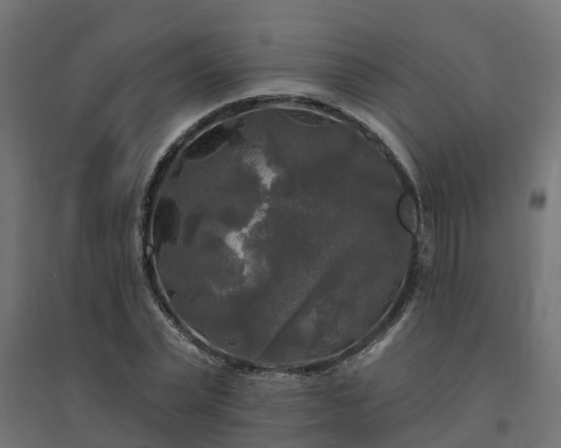 X0000094790783200711241401