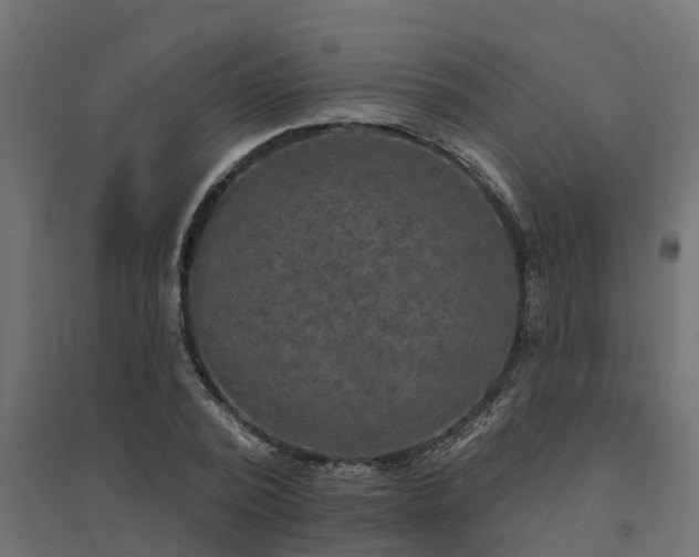 X0000094790784200711241401