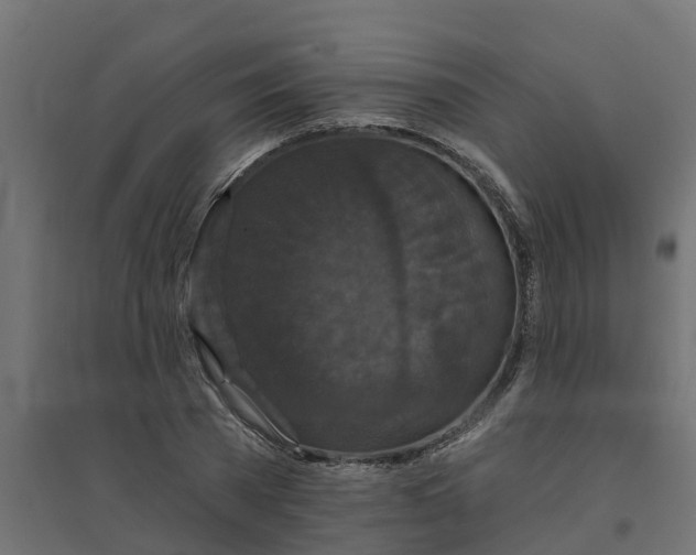 X0000094790785200711241401