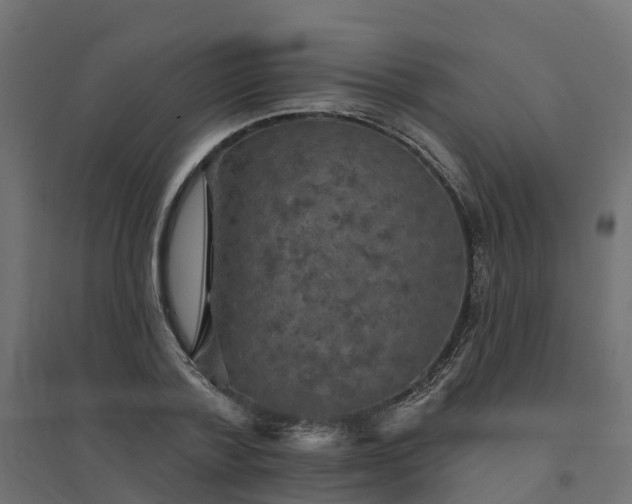 X0000094790788200711241400