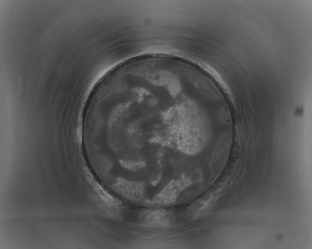 X0000094790791200711241400