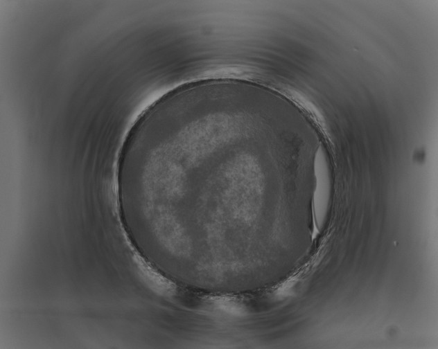 X0000094790792200711241400