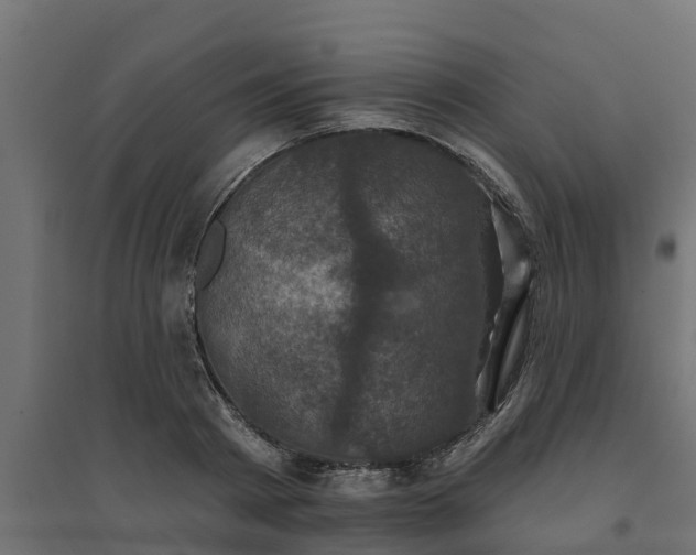 X0000094790793200711241400