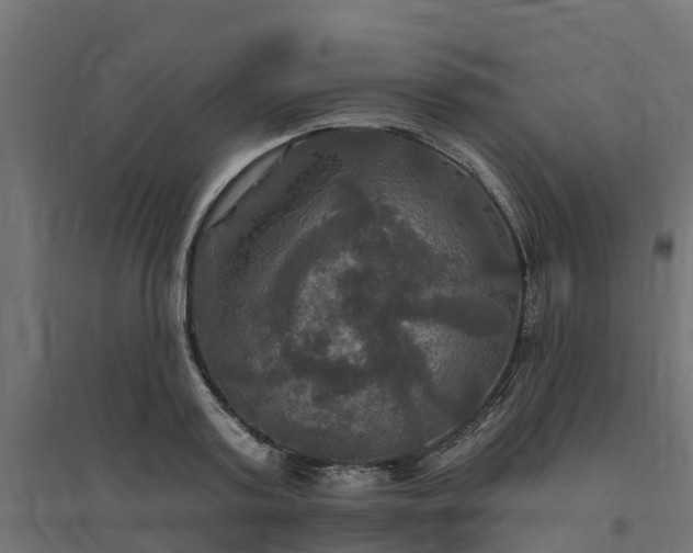 X0000094790795200711241400