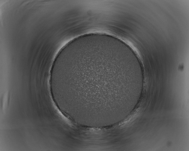 X0000094790799200711241400