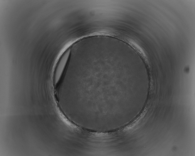 X0000094790800200711241400