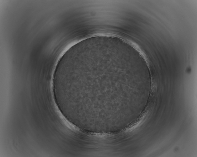 X0000094790803200711241400