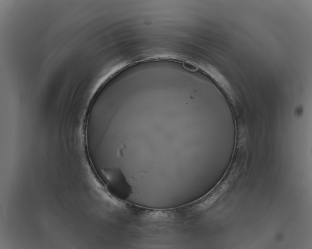 X0000094790806200711241400