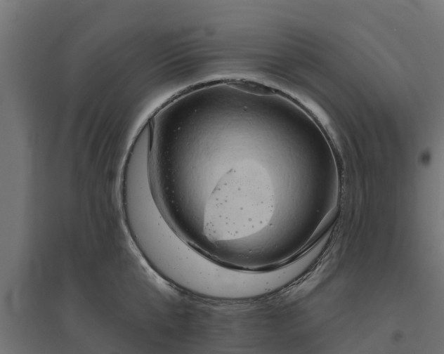 X0000094790807200711241400