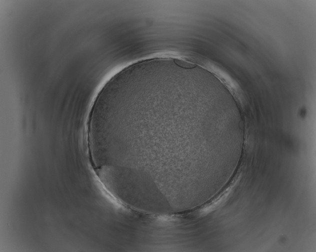 X0000094790808200711241400