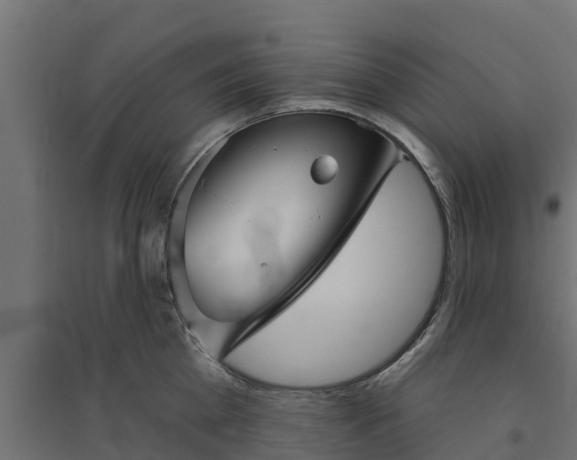 X0000094790809200711241400