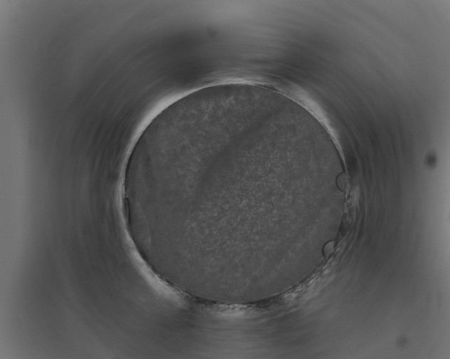 X0000094790811200711241400